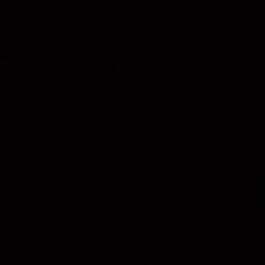 Meet your Posher, Amoni